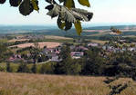 Gasthof-Pension "Zur schönen Aussicht"